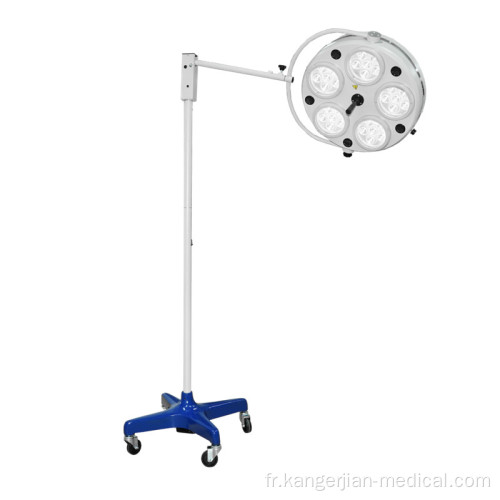 Fabrication mineure chirurgie coûte lampe LED500 Opération chirurgicale